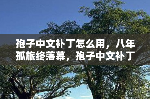 墨西哥英雄大混战2,从落差拉满到笑着哭了,墨西哥英雄大混战真相竟如此扎心! 墨西哥英雄大混战2,从落差拉满到笑着哭了,墨西哥英雄大混战真相竟如此扎心!