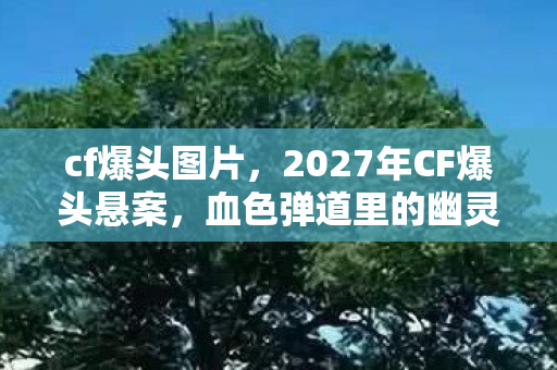 lol飞机叫啥,惊爆!LOL飞机背后竟藏3大未解之谜,玩家集体破防! lol飞机叫啥,惊爆!LOL飞机背后竟藏3大未解之谜,玩家集体破防!