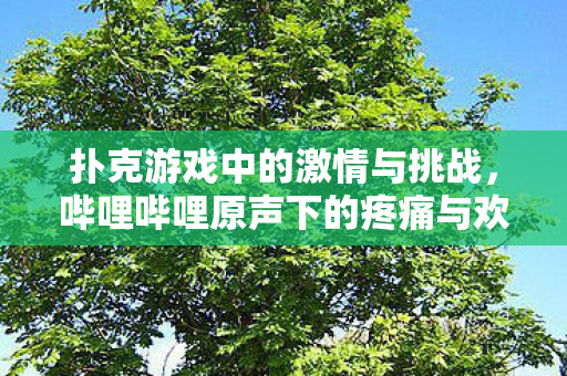 哔哩哔哩原声下的疼痛与欢笑图片