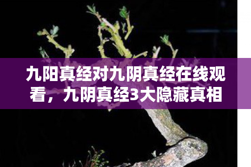 狂野艳逍遥,为游戏狂掷80万,离婚协议撕开婚姻隐情,吓一跳! 狂野艳逍遥,为游戏狂掷80万,离婚协议撕开婚姻隐情,吓一跳!