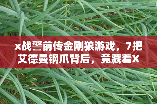 NBA2005中文版下载地址，心理实验实录，沉迷NBA2005的细思极恐——我的意识正在被游戏格式化