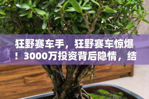 cf爆头图片，2027年CF爆头悬案，血色弹道里的幽灵线索，真相让人脊背发凉