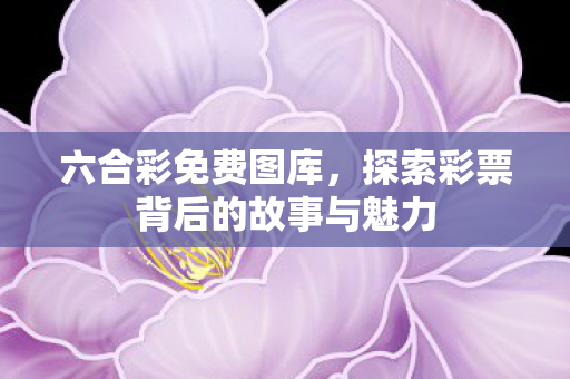 探索彩票背后的故事与魅力图片
