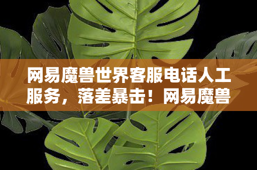 网易魔兽世界客服电话人工服务，落差暴击！网易魔兽客服真相，笑着拨号，哭着挂断的奇幻漂流