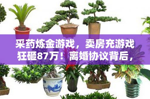 采药炼金游戏,卖房充游戏狂砸87万!离婚协议背后,我亲手拆了家! 采药炼金游戏,卖房充游戏狂砸87万!离婚协议背后,我亲手拆了家!