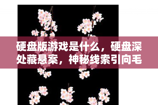 硬盘版游戏是什么，硬盘深处藏悬案，神秘线索引向毛骨悚然连环失踪谜局