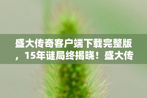 盛大传奇客户端下载完整版，15年谜局终揭晓！盛大传奇客户端下载量暴跌背后，泪目真相竟是……
