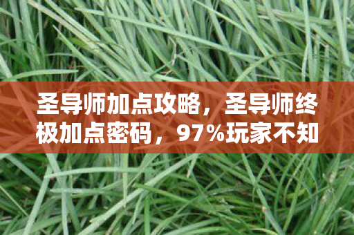 圣导师加点攻略,圣导师终极加点密码,97%玩家不知的317%增伤暗线 圣导师加点攻略,圣导师终极加点密码,97%玩家不知的317%增伤暗线