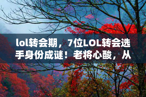 lol转会期,7位LOL转会选手身份成谜!老将心酸,从端游到手游的漂泊路 lol转会期,7位LOL转会选手身份成谜!老将心酸,从端游到手游的漂泊路