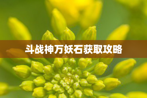 斗战神万妖石获取攻略图片