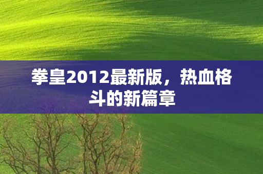 拳皇2012最新版图片