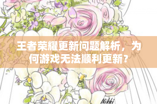 王者荣耀更新问题解析图片