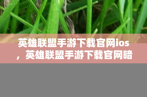 延缓写入失败怎么修复，3次神秘延缓写入失败背后，竟藏着颠覆认知的惊人真相？