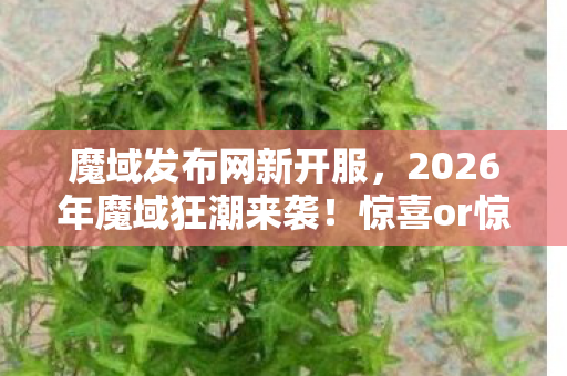 赵信打野天赋S9,赵信打野衍生数破圈!当手办堆满屋时,我冰箱竟藏着意想不到的惊喜 赵信打野天赋S9,赵信打野衍生数破圈!当手办堆满屋时,我冰箱竟藏着意想不到的惊喜