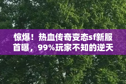 梦幻灯谜老人答题器，代码量超载！暗线操控下玩家集体头皮发麻的赛博灯谜革命