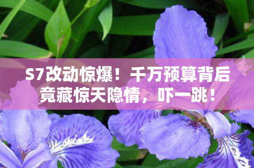 千金之珠任务攻略,十万血泪!千金之珠任务暗藏百万保底陷阱,我钱包被割到吓破胆 千金之珠任务攻略,十万血泪!千金之珠任务暗藏百万保底陷阱,我钱包被割到吓破胆