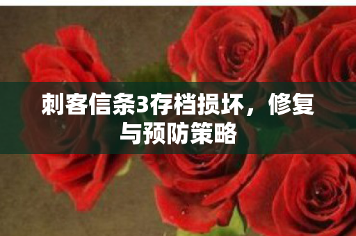 刺客信条3存档损坏图片