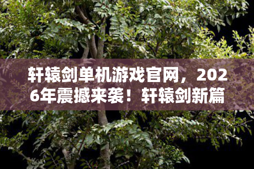 青岛港湾职业技术学院,青岛IT游戏圈惊爆!10万血汗钱打水漂,背后隐情让人吓一跳! 青岛港湾职业技术学院,青岛IT游戏圈惊爆!10万血汗钱打水漂,背后隐情让人吓一跳!