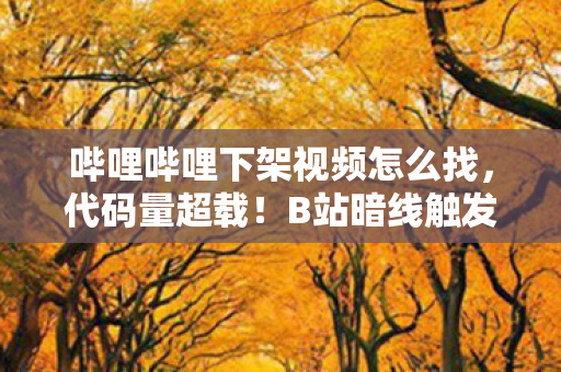 哔哩哔哩下架视频怎么找,代码量超载!B站暗线触发数据坍缩,你的账号正在头皮发麻地量子化 哔哩哔哩下架视频怎么找,代码量超载!B站暗线触发数据坍缩,你的账号正在头皮发麻地量子化