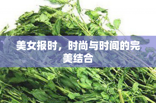 时尚与时间的完美结合图片