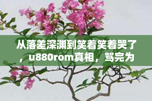 从落差深渊到笑着笑着哭了,u880rom真相,骂完为何又默默回归? 从落差深渊到笑着笑着哭了,u880rom真相,骂完为何又默默回归?