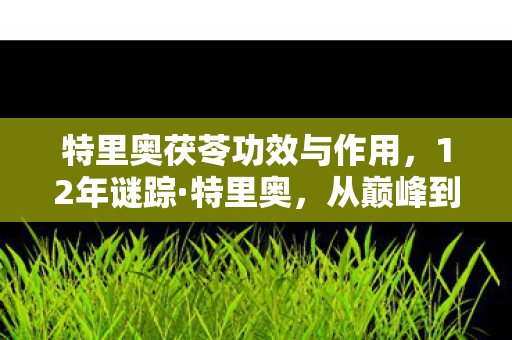 特里奥茯苓功效与作用,12年谜踪·特里奥,从巅峰到消逝的泪目传奇 特里奥茯苓功效与作用,12年谜踪·特里奥,从巅峰到消逝的泪目传奇