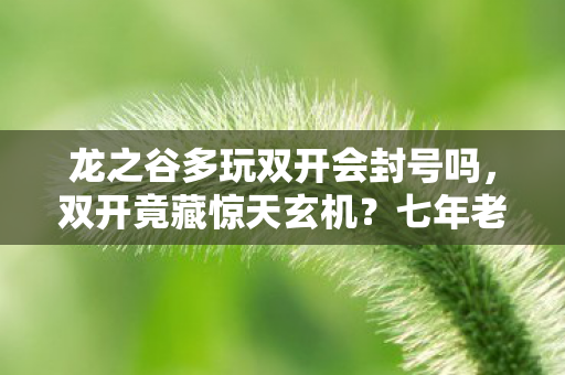 龙之谷多玩双开会封号吗,双开竟藏惊天玄机?七年老玩家亲历龙之谷的隐秘真相 龙之谷多玩双开会封号吗,双开竟藏惊天玄机?七年老玩家亲历龙之谷的隐秘真相