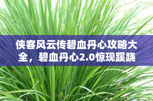 侠客风云传碧血丹心攻略大全,碧血丹心2.0惊现蹊跷设定!老玩家直呼这波操作太上头 侠客风云传碧血丹心攻略大全,碧血丹心2.0惊现蹊跷设定!老玩家直呼这波操作太上头