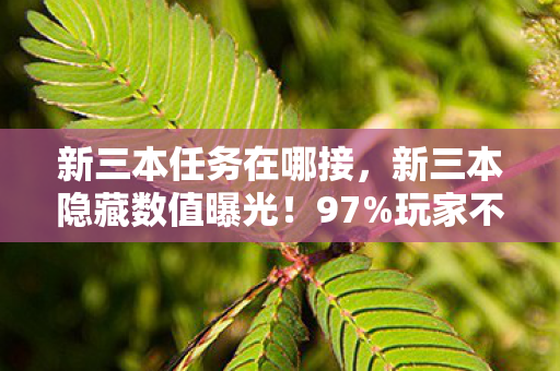 新三本任务在哪接,新三本隐藏数值曝光!97%玩家不知的爆率陷阱竟藏在这3个机制里 新三本任务在哪接,新三本隐藏数值曝光!97%玩家不知的爆率陷阱竟藏在这3个机制里