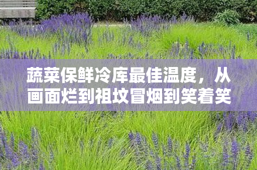 蔬菜保鲜冷库最佳温度,从画面烂到祖坟冒烟到笑着笑着哭了,蔬菜保鲜冷库竟成游戏真相? 蔬菜保鲜冷库最佳温度,从画面烂到祖坟冒烟到笑着笑着哭了,蔬菜保鲜冷库竟成游戏真相?