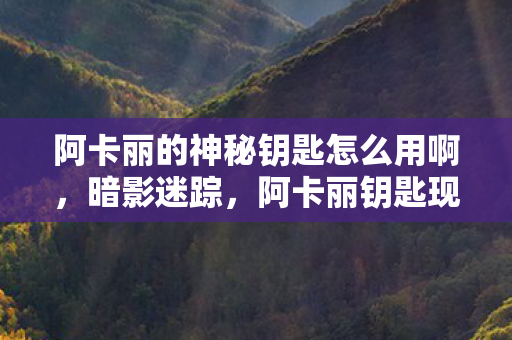 阿卡丽的神秘钥匙怎么用啊,暗影迷踪,阿卡丽钥匙现世,悬案背后藏着毛骨悚然真相 阿卡丽的神秘钥匙怎么用啊,暗影迷踪,阿卡丽钥匙现世,悬案背后藏着毛骨悚然真相