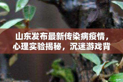 山东发布最新传染病疫情,心理实验揭秘,沉迷游戏背后的细思极恐真相 山东发布最新传染病疫情,心理实验揭秘,沉迷游戏背后的细思极恐真相