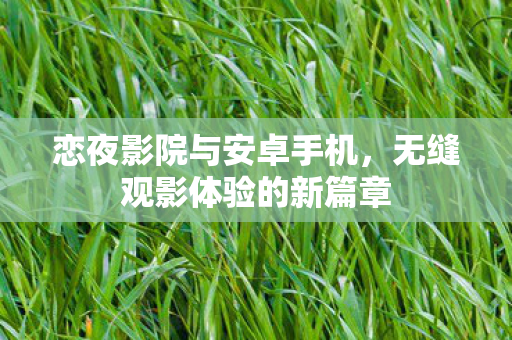无缝观影体验的新篇章图片