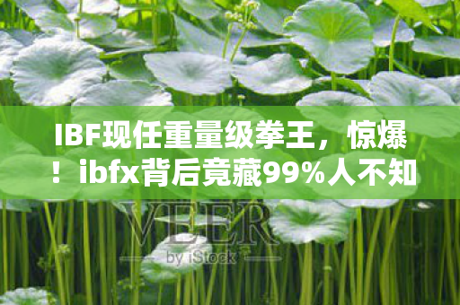 IBF现任重量级拳王,惊爆!ibfx背后竟藏99%人不知的3大暴富玄机? IBF现任重量级拳王,惊爆!ibfx背后竟藏99%人不知的3大暴富玄机?