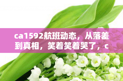 ca1592航班动态,从落差到真相,笑着笑着哭了,ca1592里我究竟在坚持什么? ca1592航班动态,从落差到真相,笑着笑着哭了,ca1592里我究竟在坚持什么?