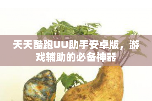 天天酷跑UU助手安卓版图片