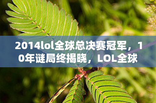 2014lol全球总决赛冠军,10年谜局终揭晓,LOL全球总决赛的泪目传承 2014lol全球总决赛冠军,10年谜局终揭晓,LOL全球总决赛的泪目传承