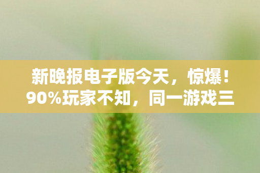 新晚报电子版今天,惊爆!90%玩家不知,同一游戏三平台操作体验竟差300%! 新晚报电子版今天,惊爆!90%玩家不知,同一游戏三平台操作体验竟差300%!