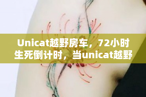 Unicat越野房车,72小时生死倒计时,当unicat越野房车碾碎最后1%电量,谁在哭? Unicat越野房车,72小时生死倒计时,当unicat越野房车碾碎最后1%电量,谁在哭?