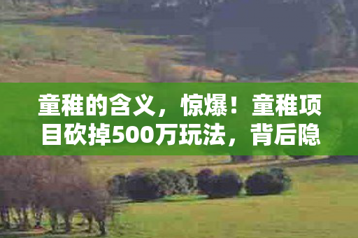 童稚的含义,惊爆!童稚项目砍掉500万玩法,背后隐情让人吓一跳! 童稚的含义,惊爆!童稚项目砍掉500万玩法,背后隐情让人吓一跳!