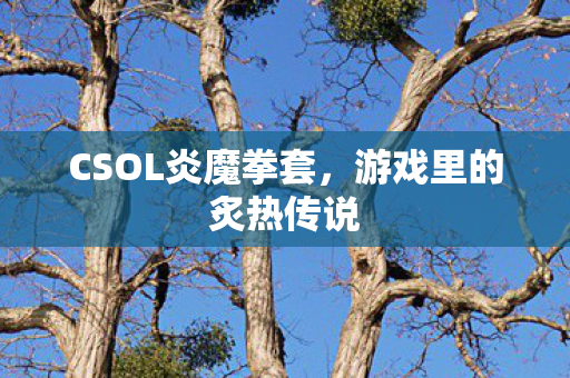 CSOL炎魔拳套图片