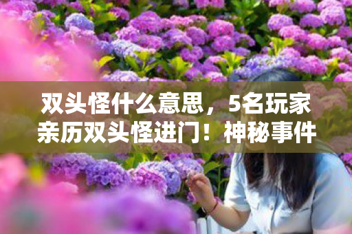 双头怪什么意思,5名玩家亲历双头怪进门!神秘事件疑点重重,当事人集体绷不住 双头怪什么意思,5名玩家亲历双头怪进门!神秘事件疑点重重,当事人集体绷不住