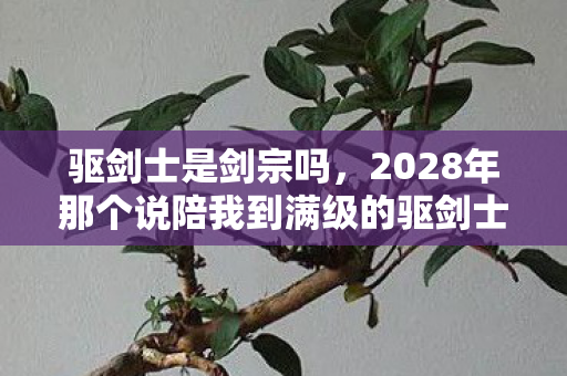 驱剑士是剑宗吗,2028年那个说陪我到满级的驱剑士,伏笔成真时我鼻子一酸 驱剑士是剑宗吗,2028年那个说陪我到满级的驱剑士,伏笔成真时我鼻子一酸