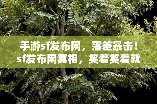 手游sf发布网,落差暴击!sf发布网真相,笑着笑着就哭了,我的青春喂了狗? 手游sf发布网,落差暴击!sf发布网真相,笑着笑着就哭了,我的青春喂了狗?