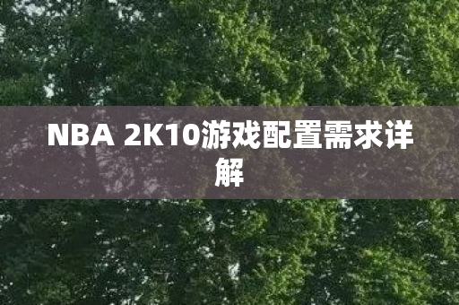 NBA 2K10游戏配置需求详解图片