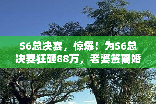 S6总决赛,惊爆!为S6总决赛狂砸88万,老婆签离婚协议,我悔不当初! S6总决赛,惊爆!为S6总决赛狂砸88万,老婆签离婚协议,我悔不当初!