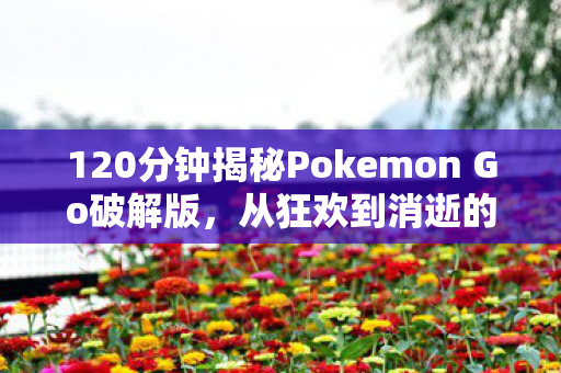 120分钟揭秘Pokemon Go破解版,从狂欢到消逝的泪目轨迹 120分钟揭秘Pokemon Go破解版,从狂欢到消逝的泪目轨迹