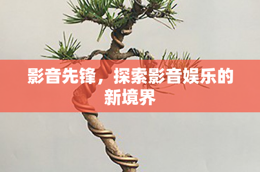 探索影音娱乐的新境界图片