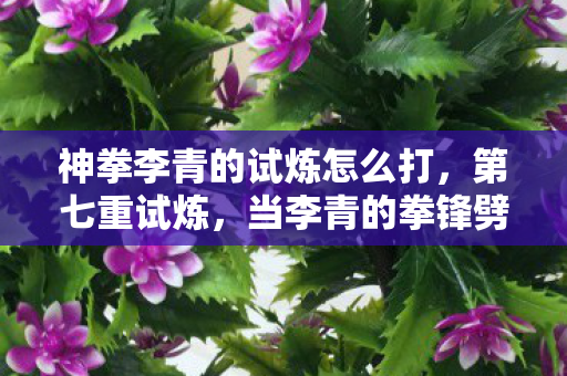 神拳李青的试炼怎么打,第七重试炼,当李青的拳锋劈开命运悖论,自由是枷锁还是救赎? 神拳李青的试炼怎么打,第七重试炼,当李青的拳锋劈开命运悖论,自由是枷锁还是救赎?