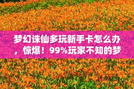 梦幻诛仙多玩新手卡怎么办,惊爆!99%玩家不知的梦幻诛仙新手卡隐藏彩蛋,泪目真相! 梦幻诛仙多玩新手卡怎么办,惊爆!99%玩家不知的梦幻诛仙新手卡隐藏彩蛋,泪目真相!